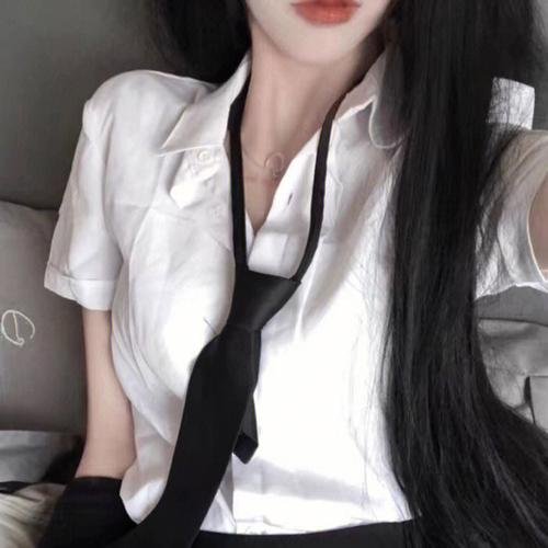 白粉飞 第三季