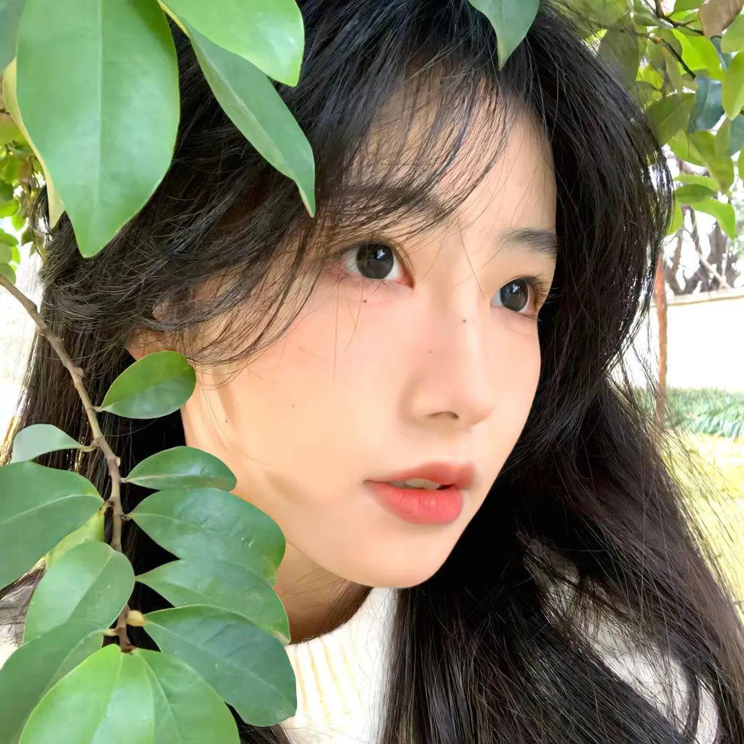 爱的痴狂
