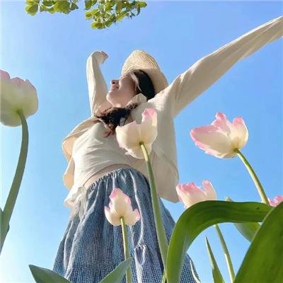蒲公英的灰尘